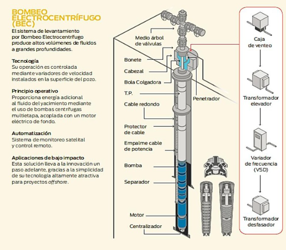 Imagen relacionada